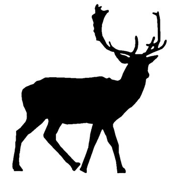 400 件の最適な 鹿ツノ 画像 ストック写真 ベクター Adobe Stock