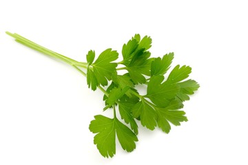Italian Parsley on White Background