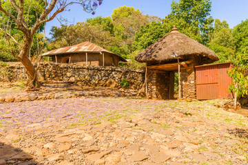 Lake Tana Monastery