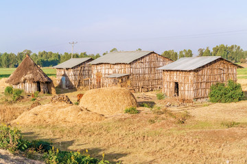 Fototapeta na wymiar Ethiopian houses in the village
