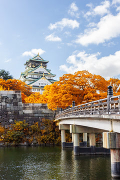 Fototapeta Osaka Castle in Osaka with autumn leaves, Japan.