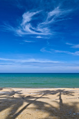 Shadow of coconut trees in a beach
