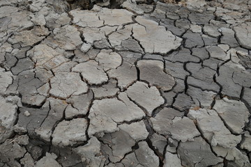 Cracked earth background