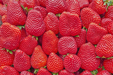 organic fresh strawberries clos up, tasty background