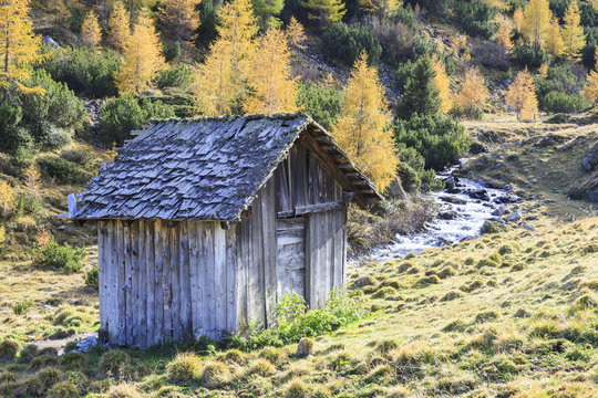 Old weathered shed