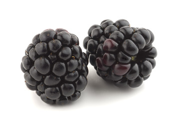 Blackberry on white