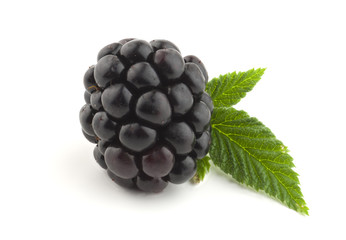 Blackberry with leaves