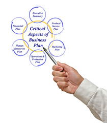 Critical Aspects of Business Plan