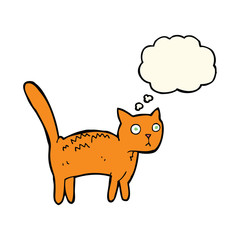 cartoon frightened cat with thought bubble