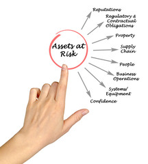 Assets at Risk