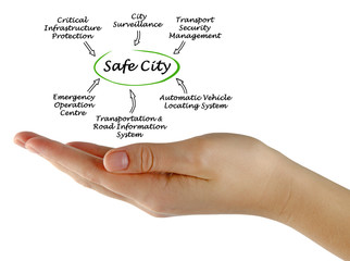 Safe City