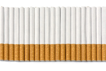 row of filter cigarettes isolated on white background