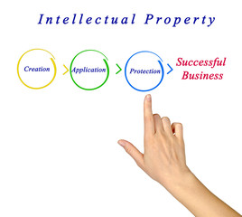 Intellectual property diagram