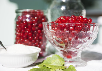 Berries on the table