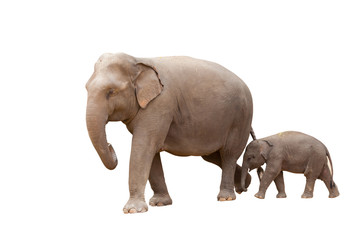 Mother and baby are walking on a white background.