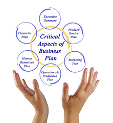 Critical Aspects of Business Plan