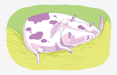 Sleeping Cow