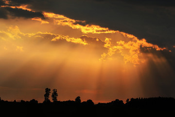 Beautiful cloudy sky with sun rays. Cloudy abstract background. Sunset light. 