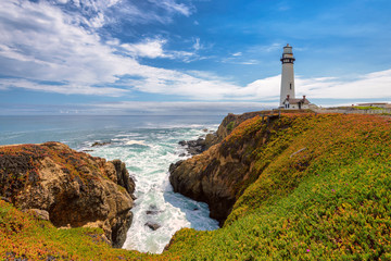 Fototapeta na wymiar Pigeon Point Lighthouse, Pacific coastline in California
