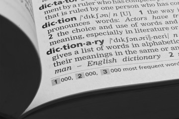 Definition of Dictionary