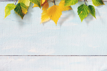 Autumn birch leaf on a blue wooden background