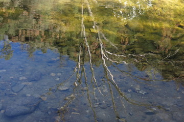 gammon ranges, south australia