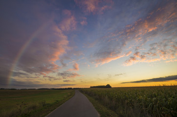 Kolorowa tęcza nad polem po przejściu porannej ulewy © Mike Mareen
