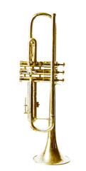 Fototapeta premium Golden trumpet isolated on white
