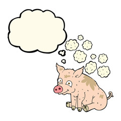 cartoon smelly pig with thought bubble