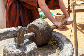 Making olive oil in ancient times