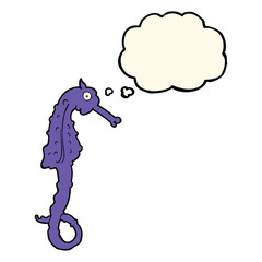 cartoon sea horse with thought bubble