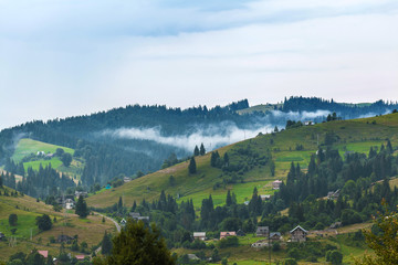 Rural landscape