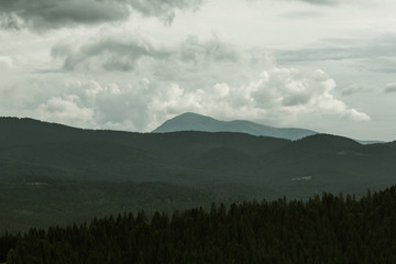 Fototapeta premium evening landscape