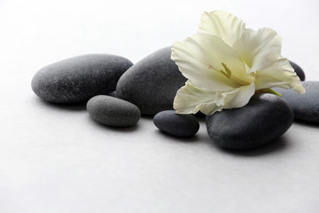 Obraz na płótnie Canvas Spa stones with flower on light background