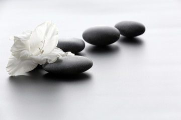 Spa stones with flower on light background