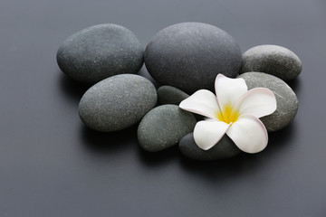 Fototapeta na wymiar Spa stones with flower on gray background