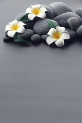 Obraz na płótnie Canvas Spa stones with flowers on gray background