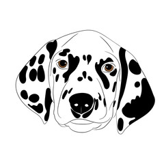 Spotty dog with trailing ears.