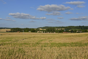Fototapeta na wymiar Vaste champ de blé après récolte près du village de Champagne au Périgord Vert 
