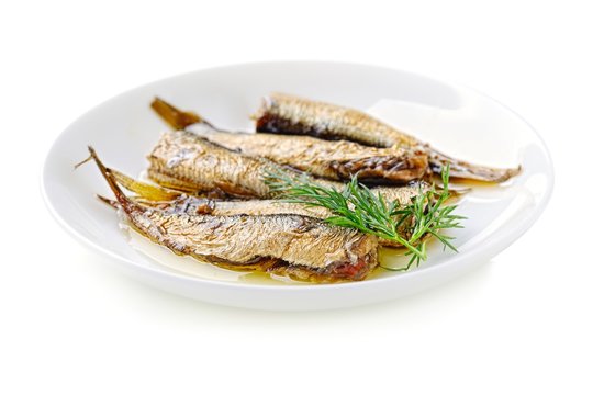 sprats in the dish isolated on white