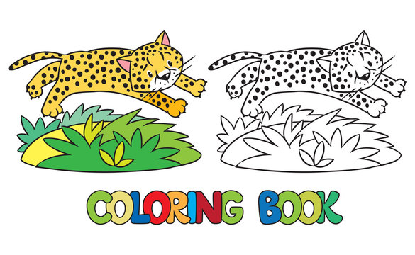 Coloring book of little cheetah or jaguar