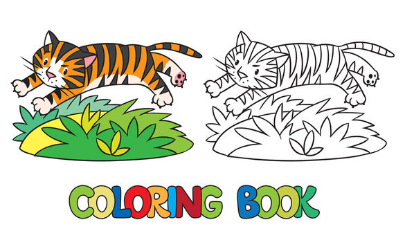 Coloring book of funny wild  tiger