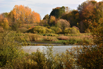 Autumn landscape with marsh