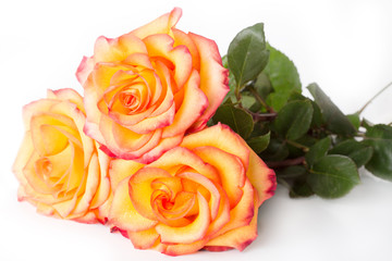 bouquet from three roses lies on a white background