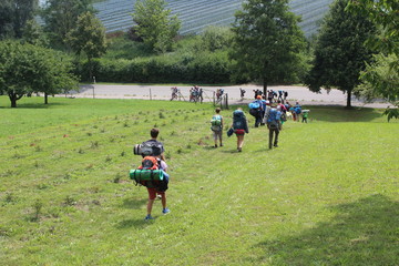 Obraz premium Gruppe von Kindern wandert auf Wiese und auf Straße