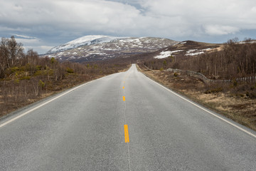 Street near Dovrefjell–Sunndalsfjella National Park