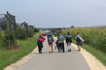 Gruppe von Kindern wandert auf Straße
