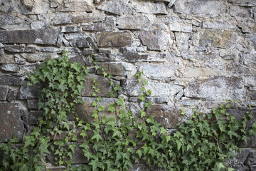 Climber on stony wall