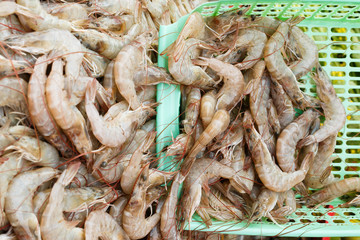 Fresh shrimp at the market for sell