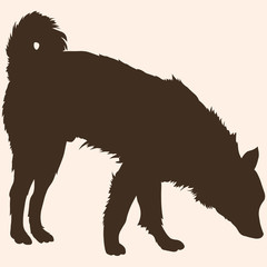 Vector Single Silhouette of Dog